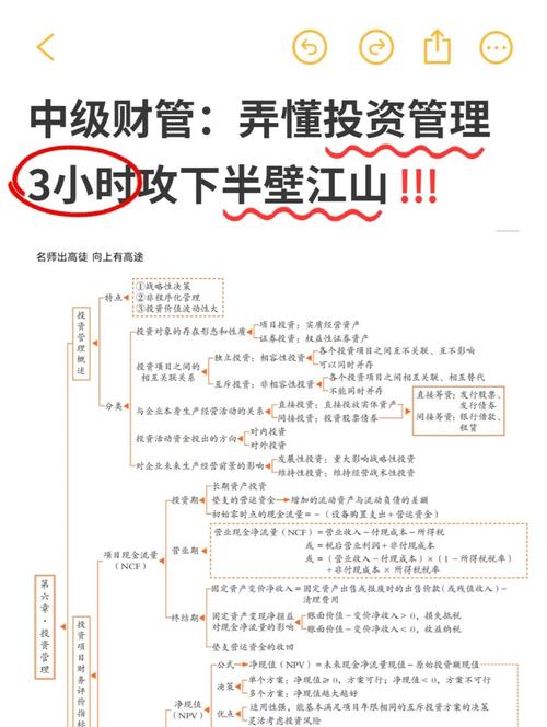 财务关系_企业财务管理_财务造假暂停上市