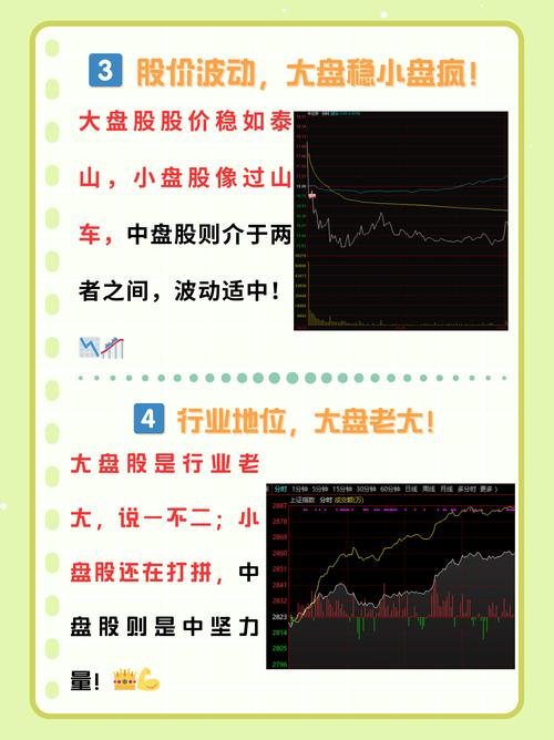 大盘股和小盘股区别_大盘股投资策略_怎么区分股票是大盘股还是小盘股