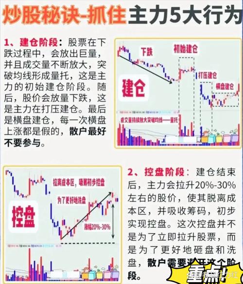 资金分析：主力连续减仓，股价逼近支撑位，后市如何？