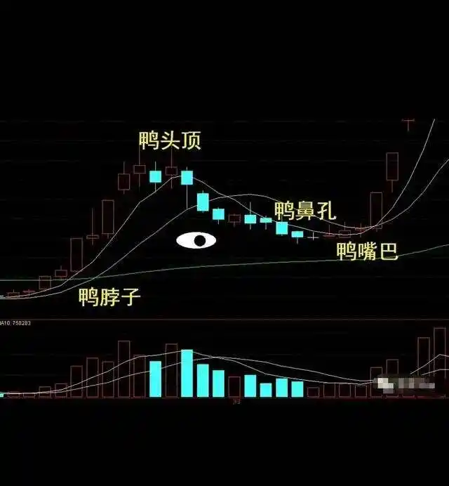 老鸭头K线图解_老鸭头形态选股图形_老鸭头形态