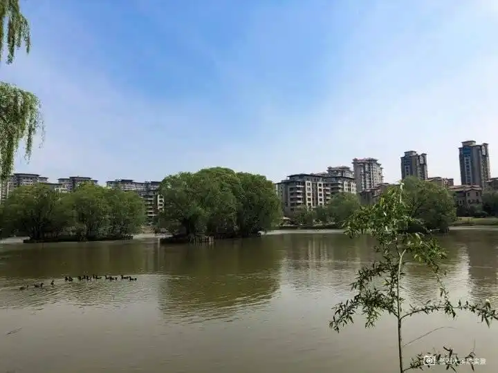 定向降准对百姓的影响_定向降准 中小微企业 蓝石大溪地