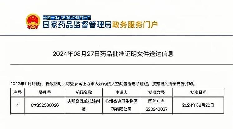恒瑞医药2024年上半年业绩报告_药店上半年业绩分析原因_恒瑞医药创新药收入增长分析