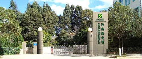 绿大地造假早露端倪，谁该为其欺诈发行负责？
