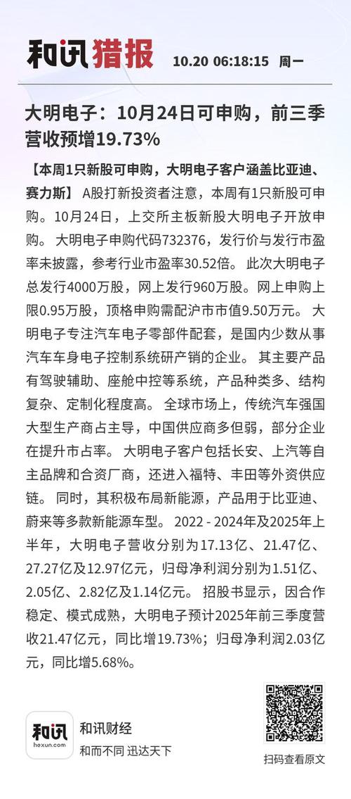 大明电子IPO_ipo新股_汽车电子零部件配套领域打新