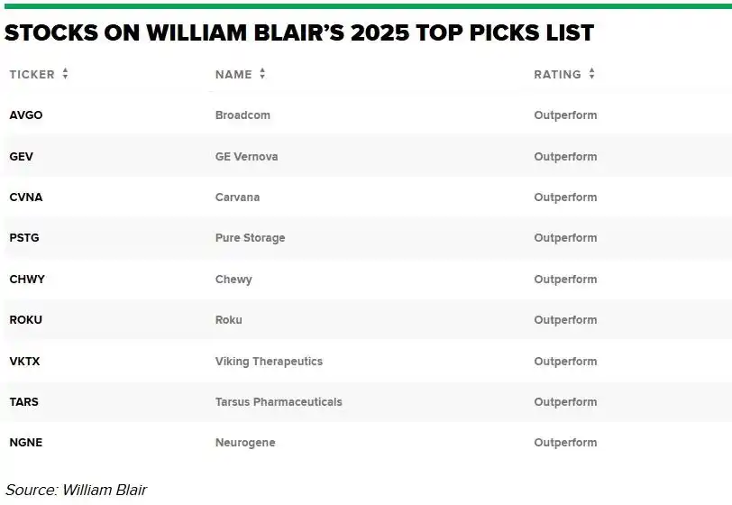 2025小盘股高成长股票_William Blair 2025年股票预测_Broadcom AVGO 2025增长潜力
