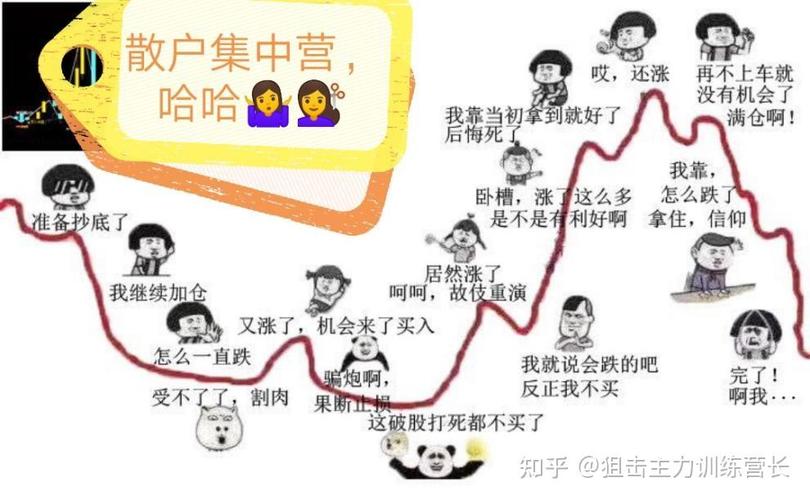 机构投资者主导_注册制去散户化_去散户化
