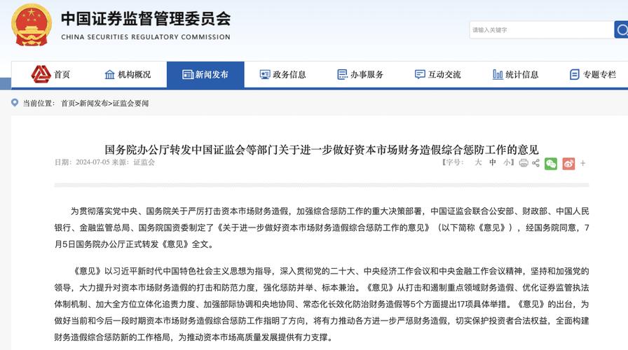 财务造假监管措施_对万福生科财务造假提出建议_资本市场财务造假综合惩防工作意见