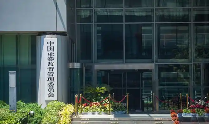 对万福生科财务造假提出建议_证监会严厉打击财务造假_财务造假监管处罚