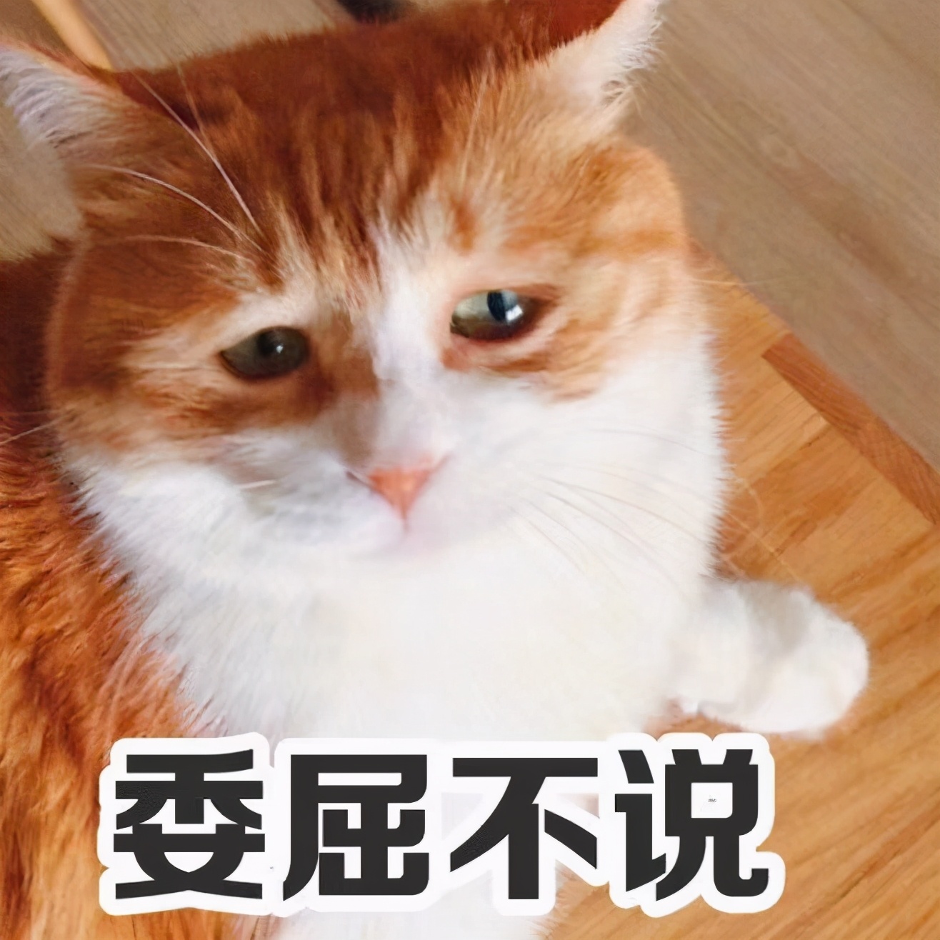 靠谱副业变现方法_闲鱼卖货赚钱技巧_网赚平台加盟