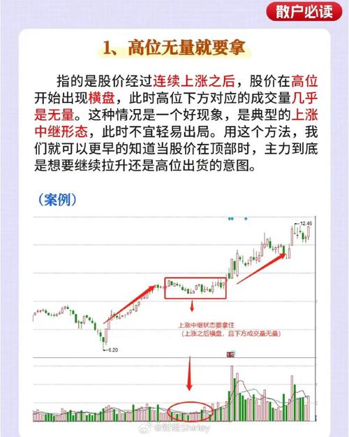 成交量分析_量价关系实战图谱_股票大智慧中的成交量栏vol中的三条动态横线