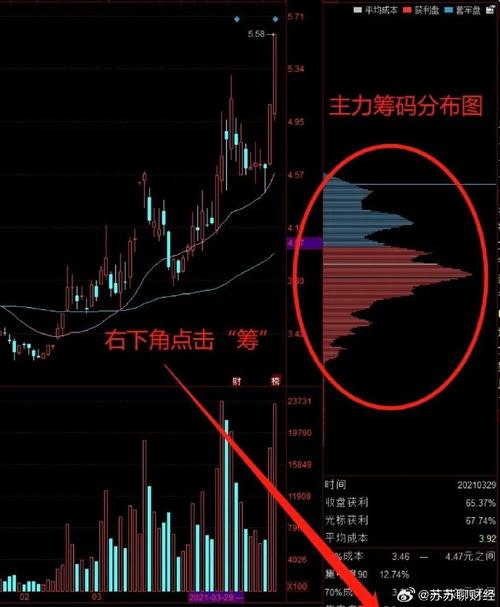 成交量分析_量价关系实战图谱_股票大智慧中的成交量栏vol中的三条动态横线