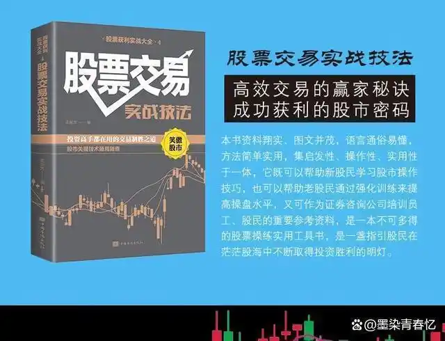  散户止损策略 _新股民快速入门必读_