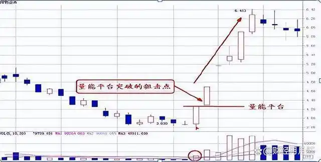 _新股民快速入门必读_ 散户止损策略 