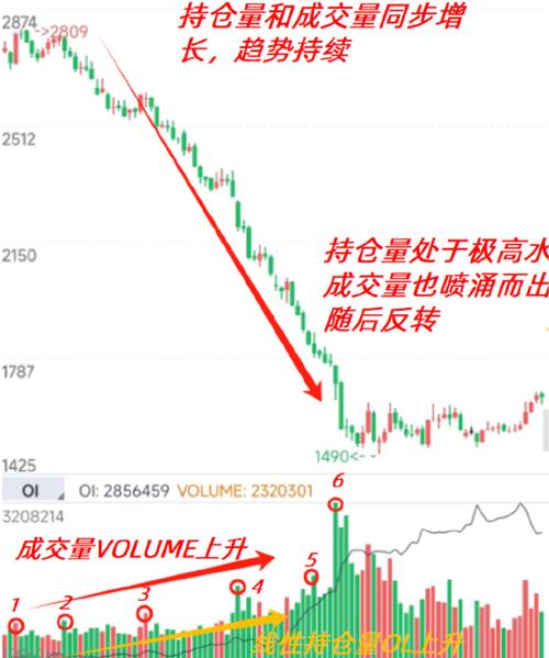 期货市场持仓分析技巧_期货机构持仓_期货持仓数据查询方法
