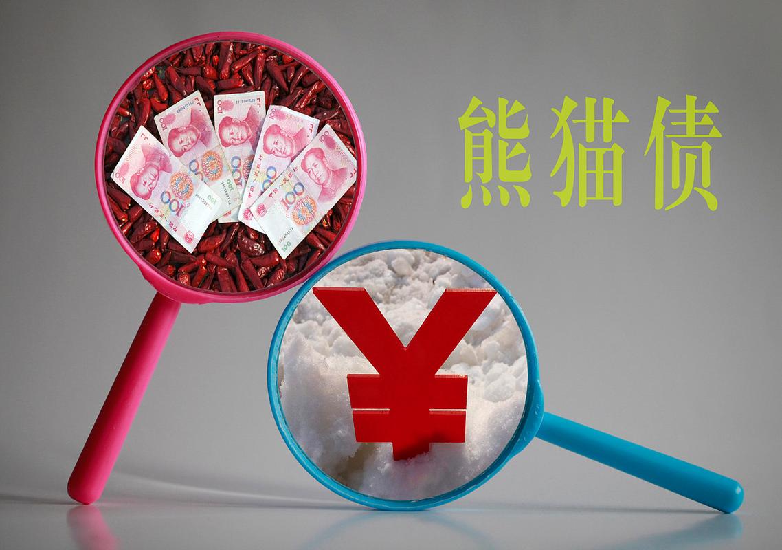 下列属于熊猫债券a日本政府_熊猫债发行规模最大5年期债券_熊猫债市场发行放量2023年数据