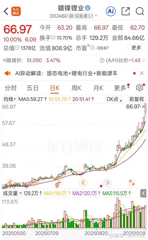 赣锋锂业股票交易规则_股票交易异常波动_002460股票