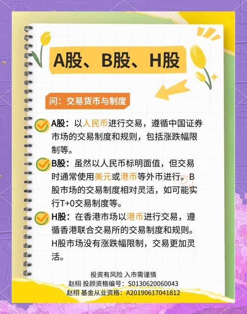 a股b股h股n股s股含义_中国股票类型划分 上市公司股票分类方式_中国股票分类标准 A股B股H股S股N股
