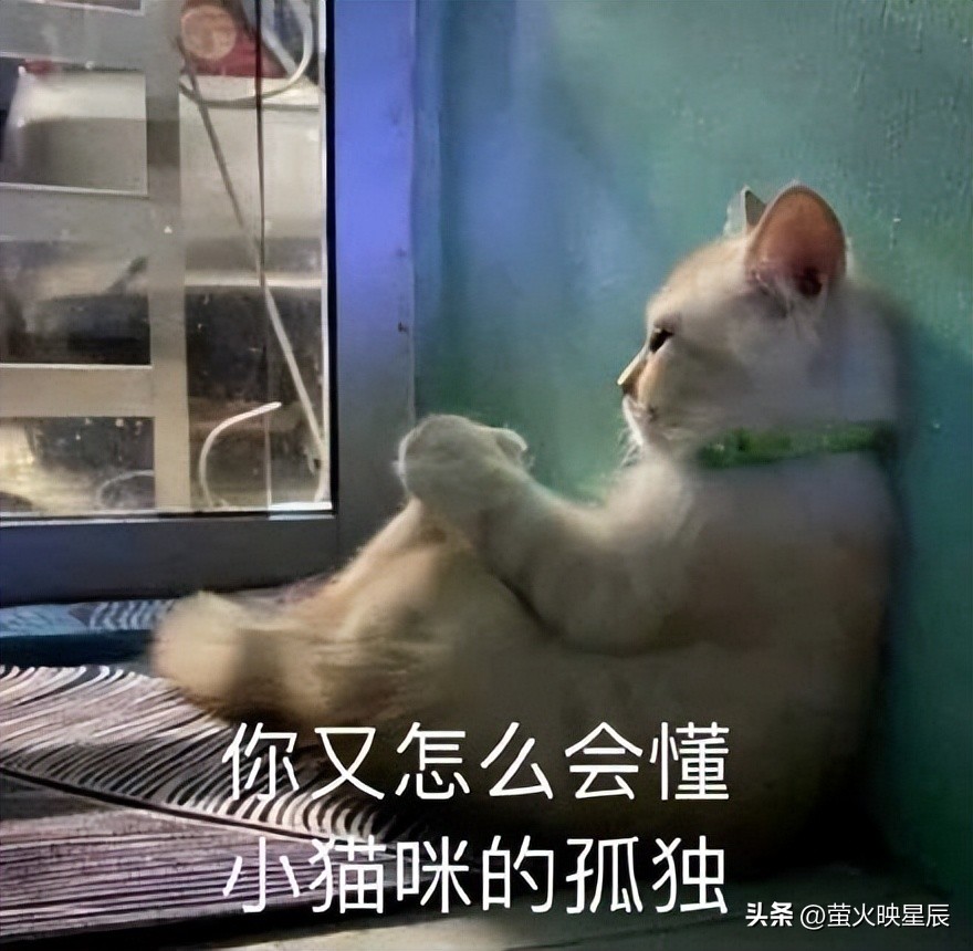 A股市场特点_B股历史作用_a股b股新三板创业板