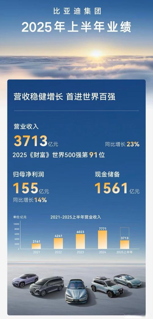 比亚迪2025年半年报_比亚迪超越特斯拉上半年营收_深圳比亚迪股份有限公司怎么样