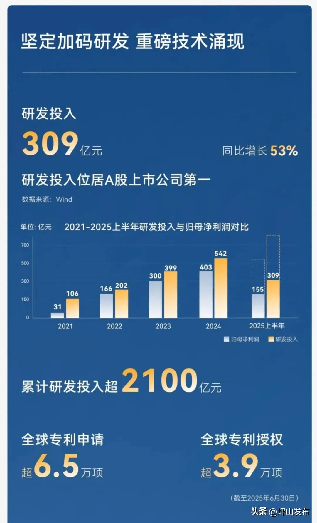 比亚迪超越特斯拉上半年营收_深圳比亚迪股份有限公司怎么样_比亚迪2025年半年报