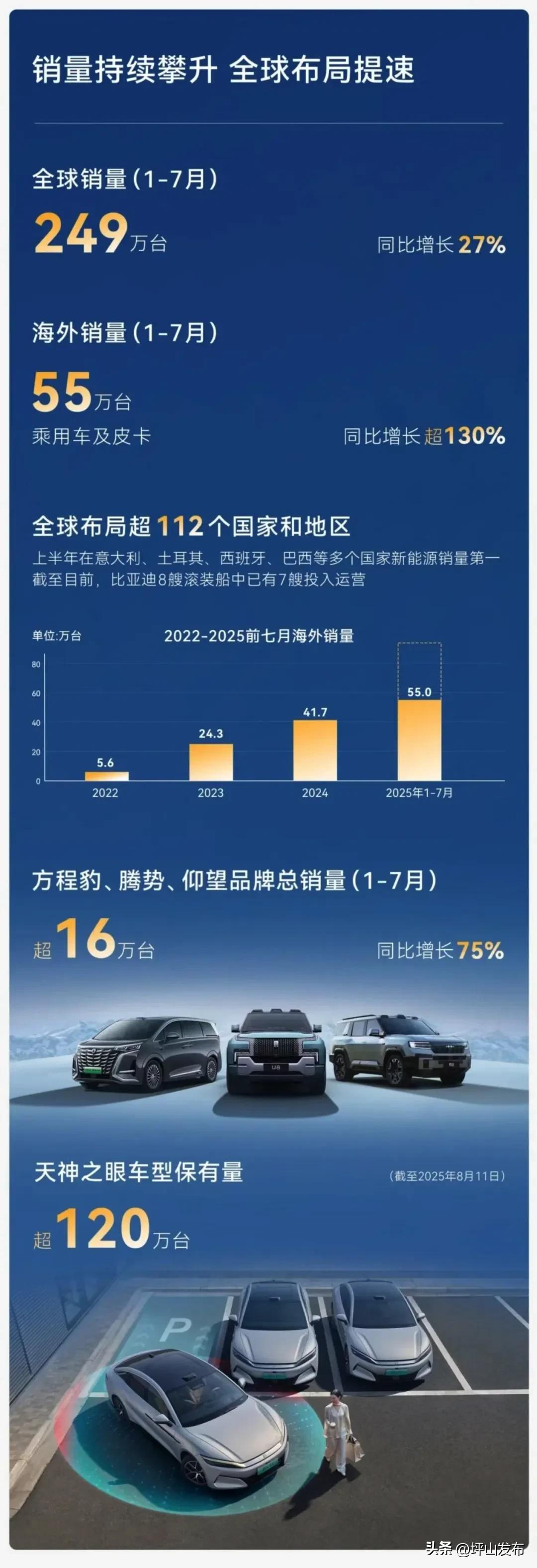深圳比亚迪股份有限公司怎么样_比亚迪超越特斯拉上半年营收_比亚迪2025年半年报
