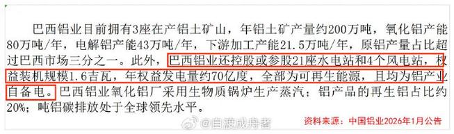 中国铝业收购巴西铝业股权_巴西铝业公司收购交易细节_中国铝业公司2026 期货