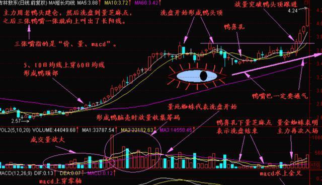 ddx金叉选股公式源码_龙回头战法选股标准_龙回头战法买入点