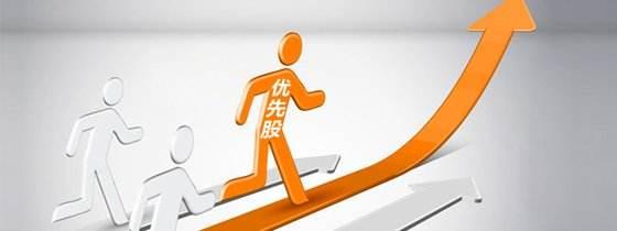 优先股股东的权利与义务
