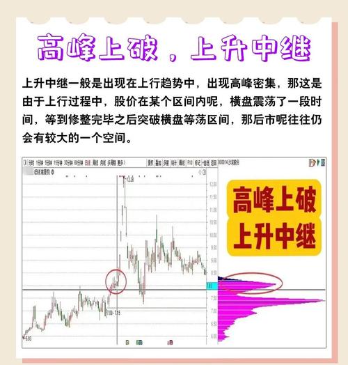 璞泰来筹码分布分析_用筹码集中度选股的公式指标_璞泰来基本面与估值综合分析