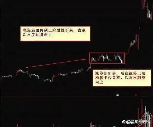 价值投资_高开低走线选股公式_股票技术分析