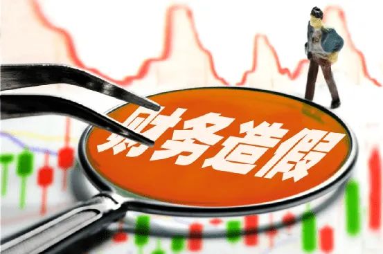 万福生科造假惩罚_金正大财务造假案_证监会处罚金正大